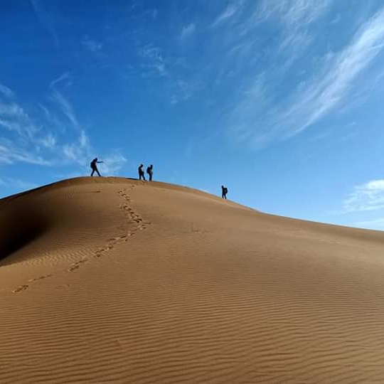 SAHARA DESERT TRIPS